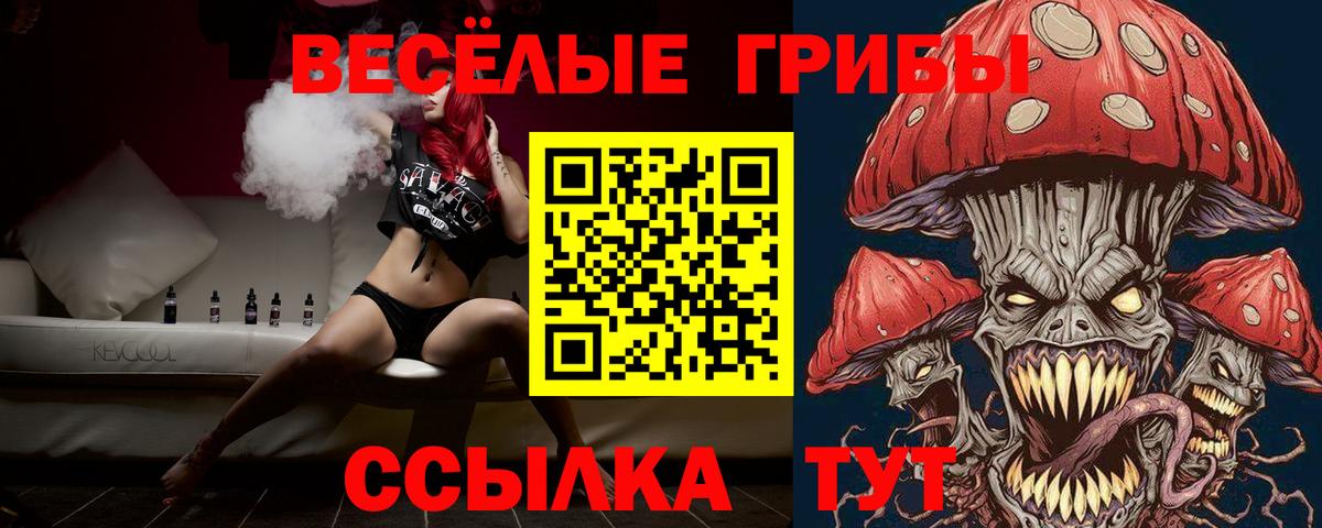 Псилоцибиновые грибы Cubensis Кемерово